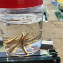 신선낚시터 이미지