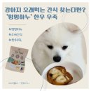 멍멍하우스 | [멍멍하누] 강아지 오래 씹는 간식 찾는다면? 멍멍하누 한우 우족 정보 정리