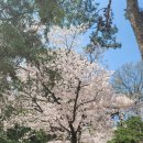 지혜로운 중년을 위한 마음 챙김 | 지치지 않는 중년을 위한 ‘나만의 충전 비법’