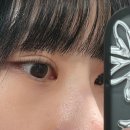 어텀브로우 | 안산 중앙동 속눈썹펌 어텀래쉬 단백질펌 추천 후기