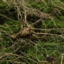 거창식당 민박 이미지