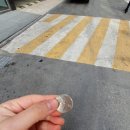 초이몽 | 용산피부관리 초이몽에스테틱 바이오필링 이후 수분관리