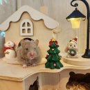 골든햄스터분양 탬펫 이미지