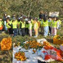 하조 산달뱅이 마을 | 도시와 농촌이 만나는 곳 - 백학동 농촌휴양체험마을