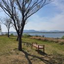 을숙도 생태공원 이미지