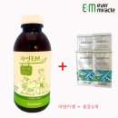 이엠코라존