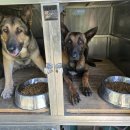 지기청년 일상학교 이미지