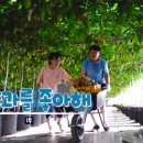 윤수농장 | 아열대 작물이 고흥에서?? 백향과 농장 패션프루츠/알고싶은 고흥 고흥에 머뭄 9일차(1/2)