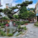 행복한 꿈을 꾸는  이미지