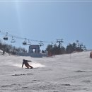 스키 동영상 이미지