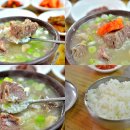 밀림식당 이미지