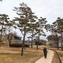 석모도 당구장 네이버블로그