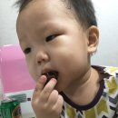 보늬숲밤농장 이미지