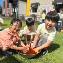 세움어린이집 이미지