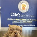 올리스24 명지점 이미지