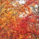 241203 '이곳이 겨울 왕국'… 제주 한라산 '만설 장관' 이미지