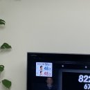 한계울구판장 | 겨울을 떠나보내는 일상