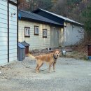 양양하조대마당넓은밤하늘별빛펜션