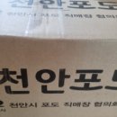 마고농원
