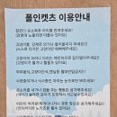 폴인캣츠