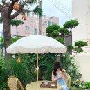 개들랜드 이미지