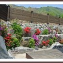 테마펜션 이미지