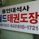 월드용인대석사태권도 이미지