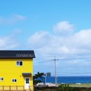 나무앤씨 키즈 이미지