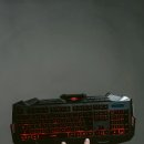 디지털 사진 이미지