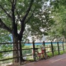 그린하우스고시텔 - 성동구 동일로 279 | 그린하우스고시텔