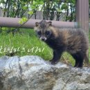 굿모닝농장2 이미지