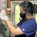 테크노연합 동물병원 이미지