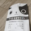 애니온동물병원 이미지