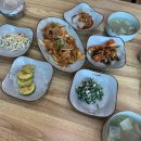 예블리콩 이미지
