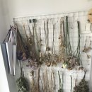 플레르유