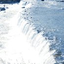 용대농장 이미지