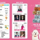 2023 청도 펫티켓 문화콘서트 네이버블로그