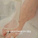 레푸스전주 이미지