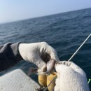 제주도이호바다배낚시체험