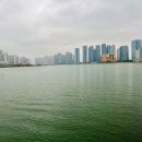 인천송빛초등학교 이미지