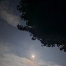 솔샘농장 이미지