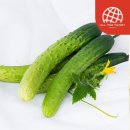 야미 - 용산구 | 야미