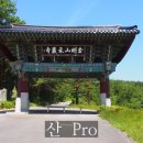 굴골 황태덕장 네이버블로그