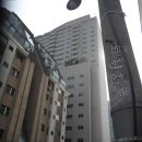 강남-261 이미지