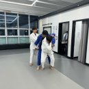 (DREAM OF JUDO) 흥덕유도관 | 반석유도관 학생,성인부 핫하다 핫해 /반석/지족/노은