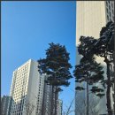 고산지구공인중개사사무소 네이버블로그