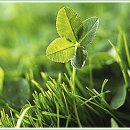 길따라행운 이미지