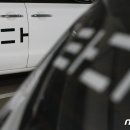 타다 이미지