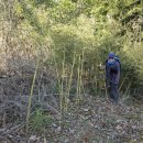 세도자원 이미지