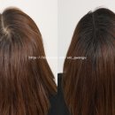 스칼프디자인센터 광주점 이미지